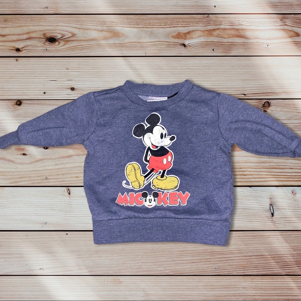 12 Month Disney Bundle